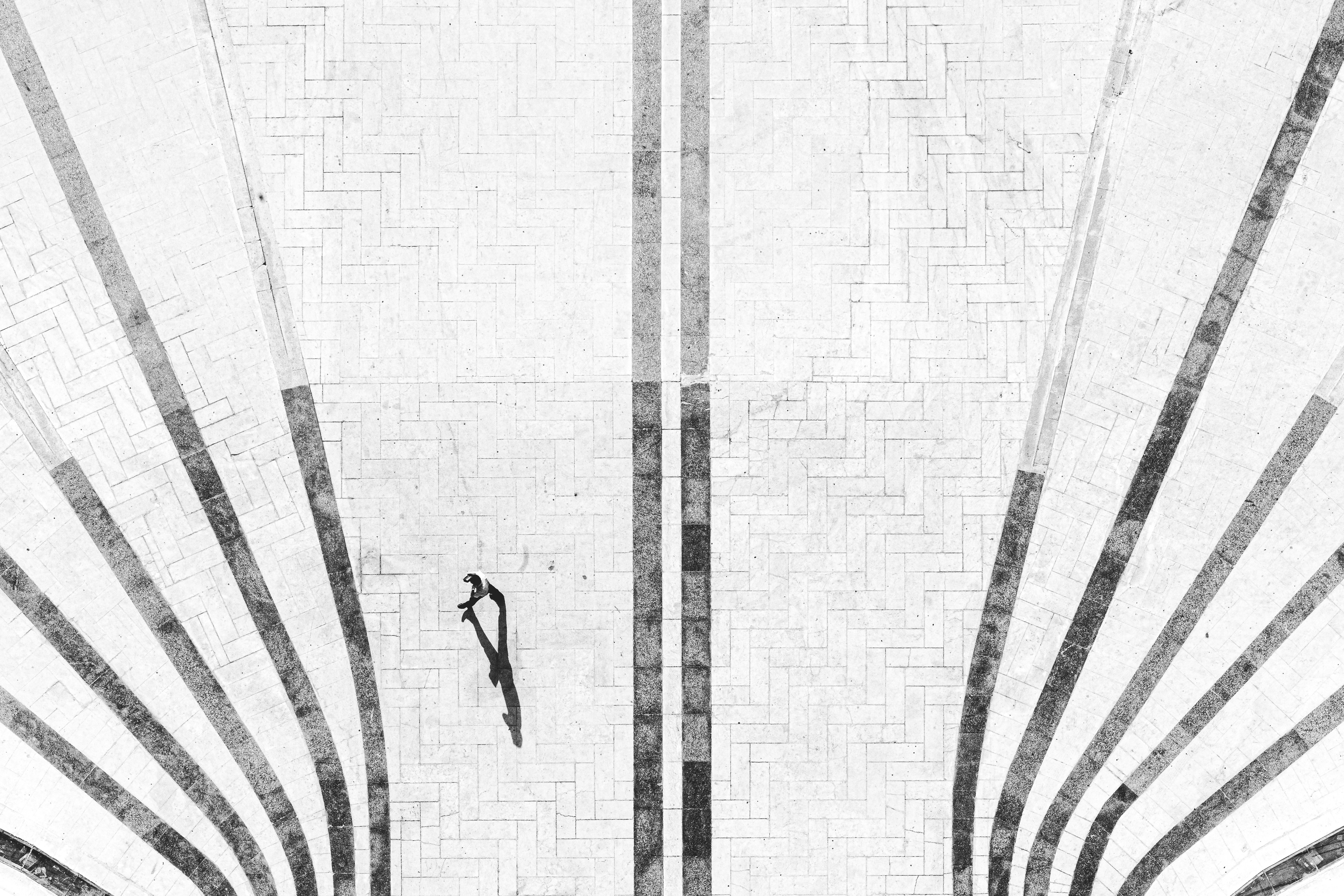 black and white abstract painting