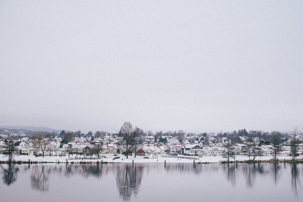 white and brown houses near body of water during daytime