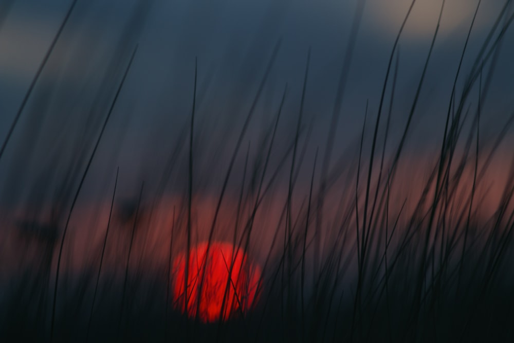 blaues rotes und weißes Licht