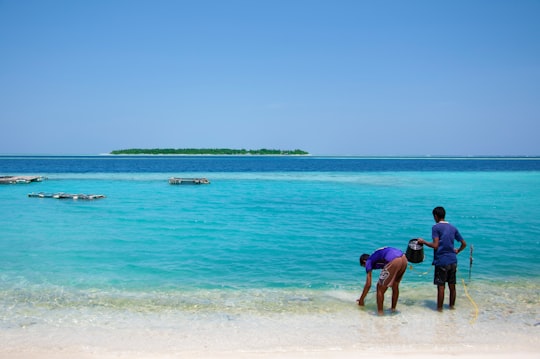 people on beach during daytime in Felidhoo Maldives