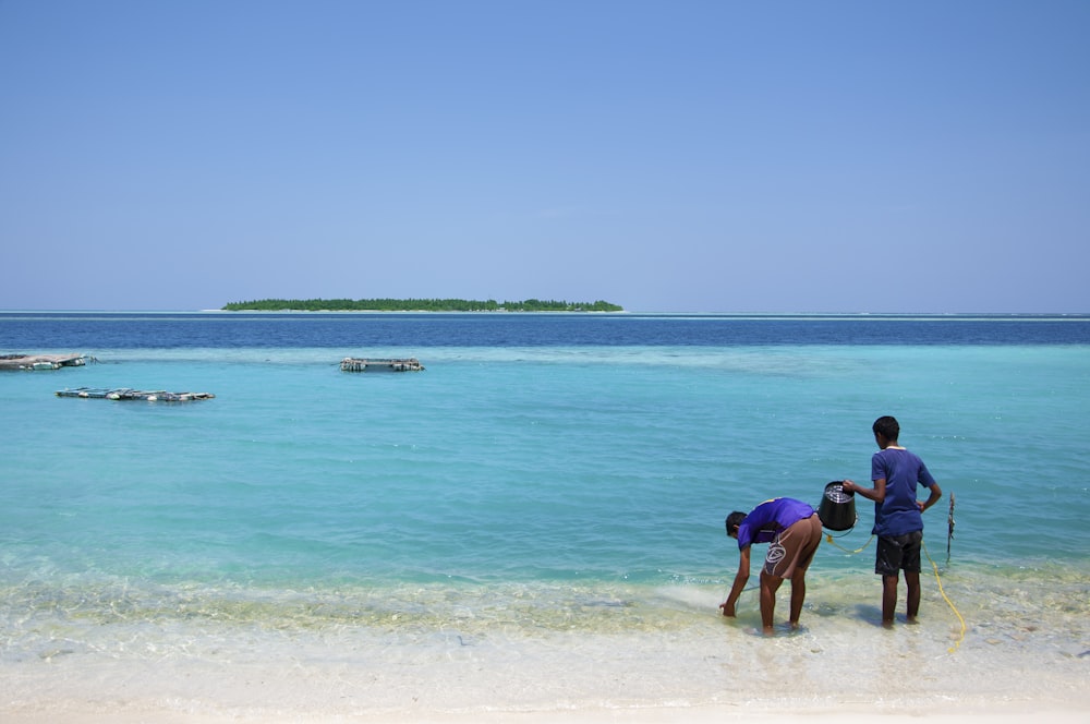 people on beach during daytime