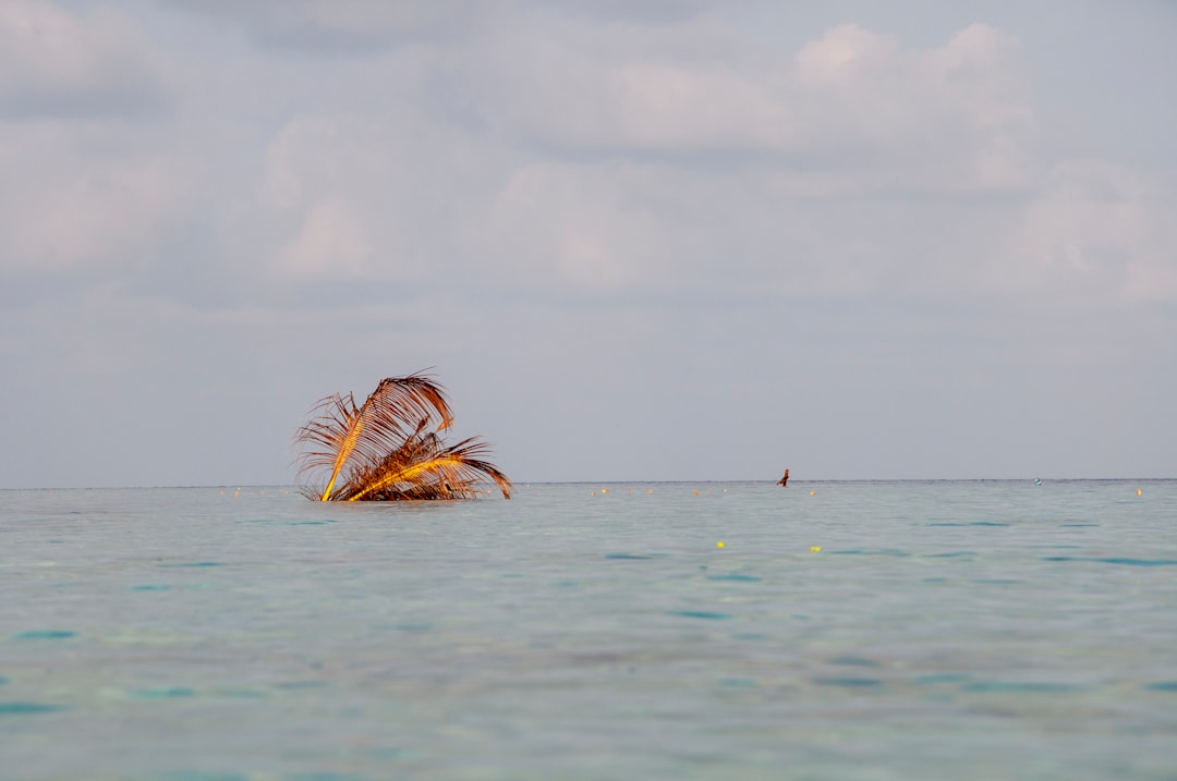 Lake photo spot Felidhoo Thinadhoo