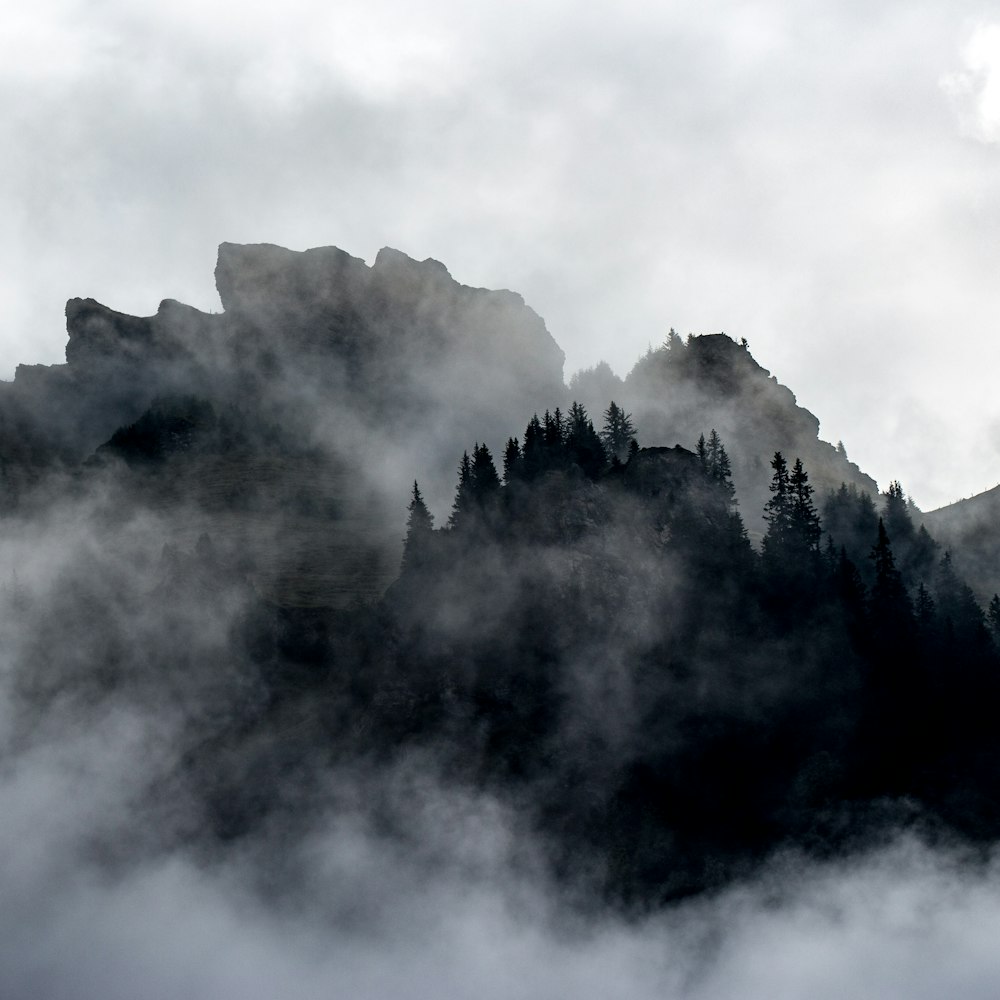 green trees on mountain under white clouds