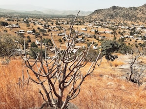 A dry landscape with a foreground dominated by a leafless tree and brown grass. In the background, a rural community of scattered houses stretches across a flat expanse. Rolling hills are visible in the distance under a hazy sky, and patches of trees dot the landscape.