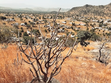 A dry landscape with a foreground dominated by a leafless tree and brown grass. In the background, a rural community of scattered houses stretches across a flat expanse. Rolling hills are visible in the distance under a hazy sky, and patches of trees dot the landscape.