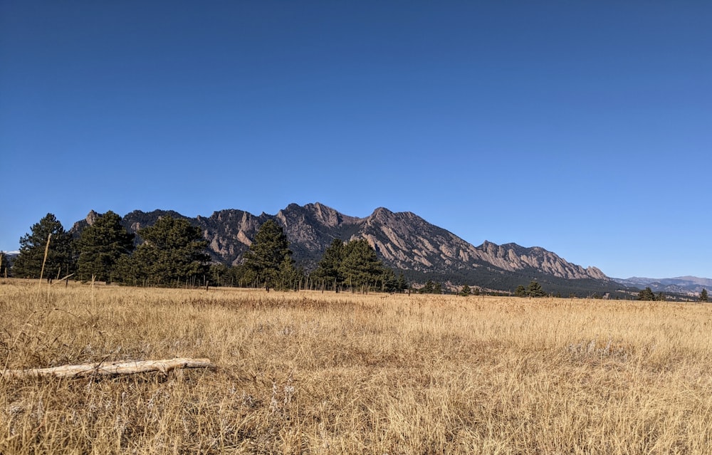campo de grama marrom perto da montanha sob o céu azul durante o dia