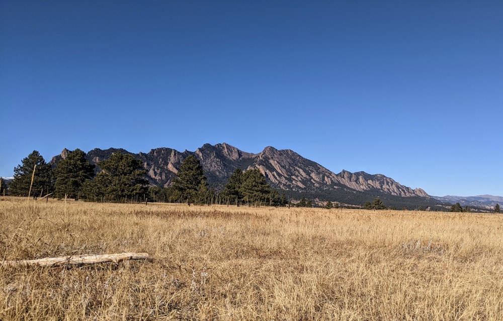 brown grass field near mountain under blue sky during daytime