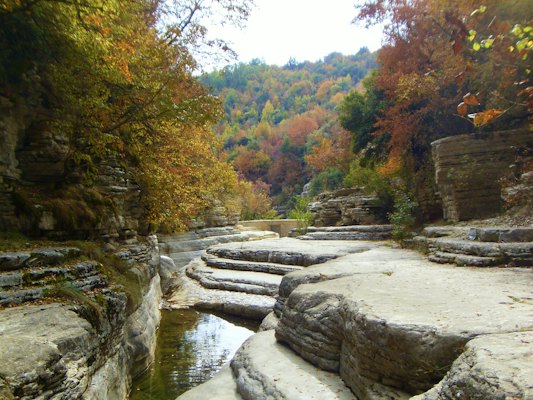 Brown and green trees beside river during daytime — Zagori, Greece