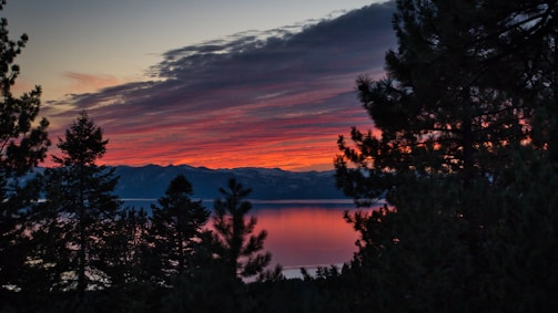 Sunset view over a serene mountain lake with reflections of pine trees.
