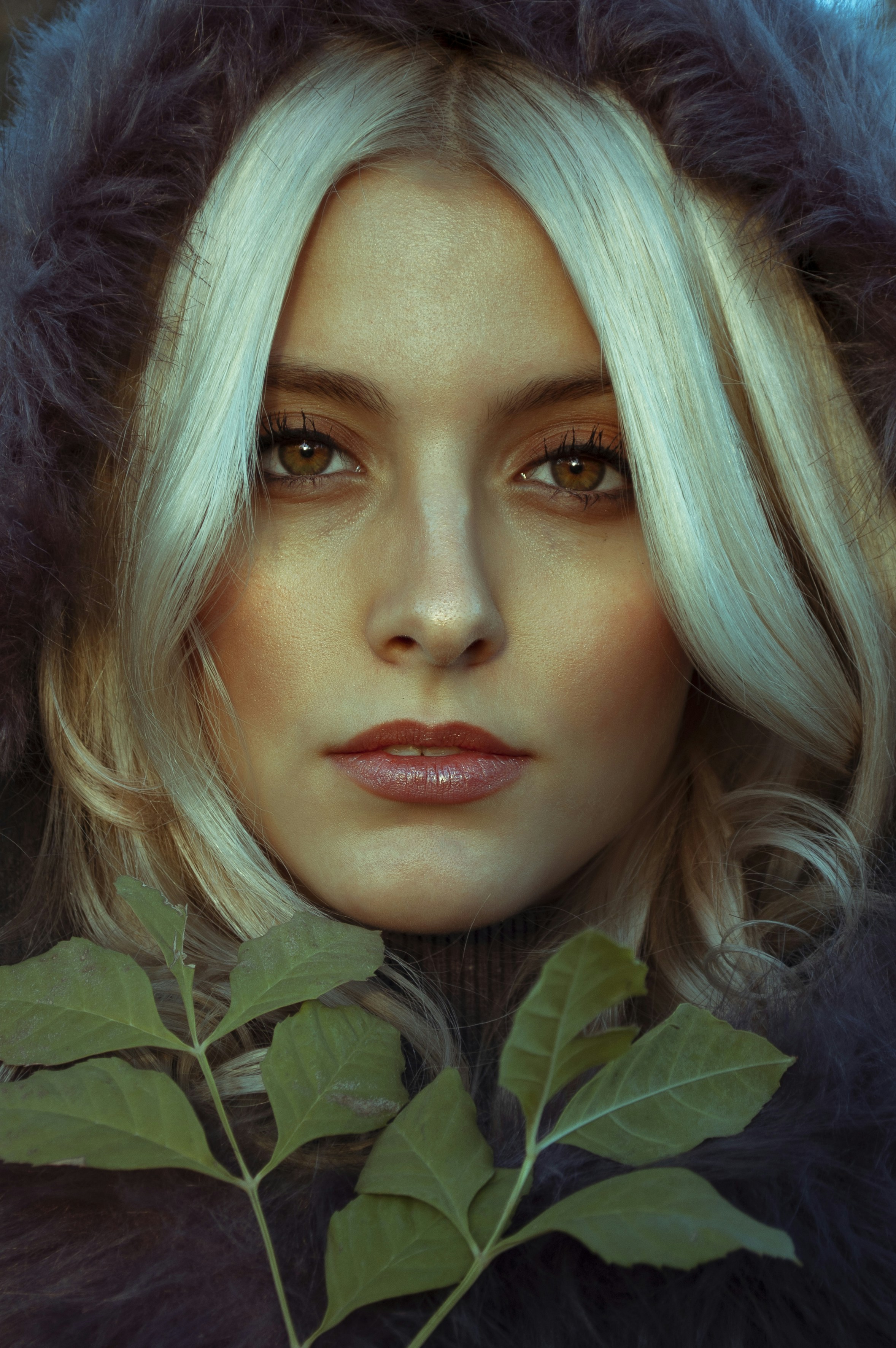 Photo by baranlotfollahi