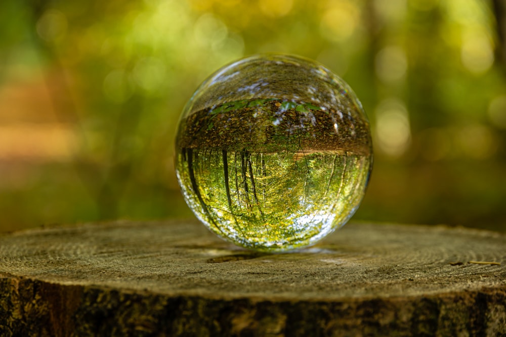 bola de vidro transparente na superfície de madeira marrom