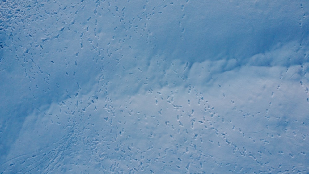 white snow on white sand