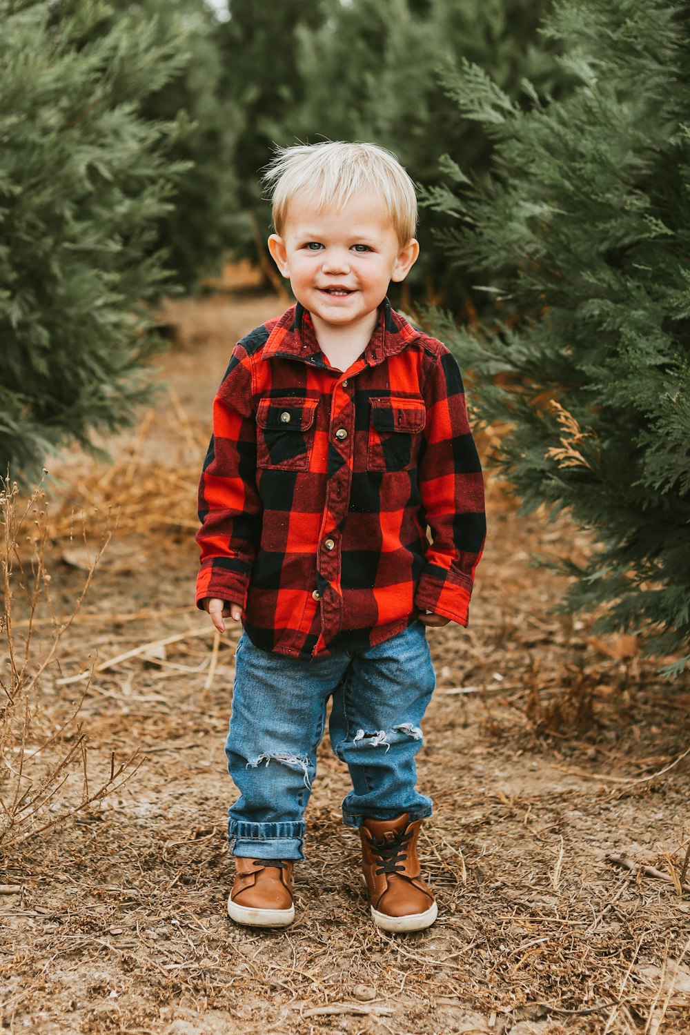 boy in red and black plaid dress shirt standing on brown grass field during daytime