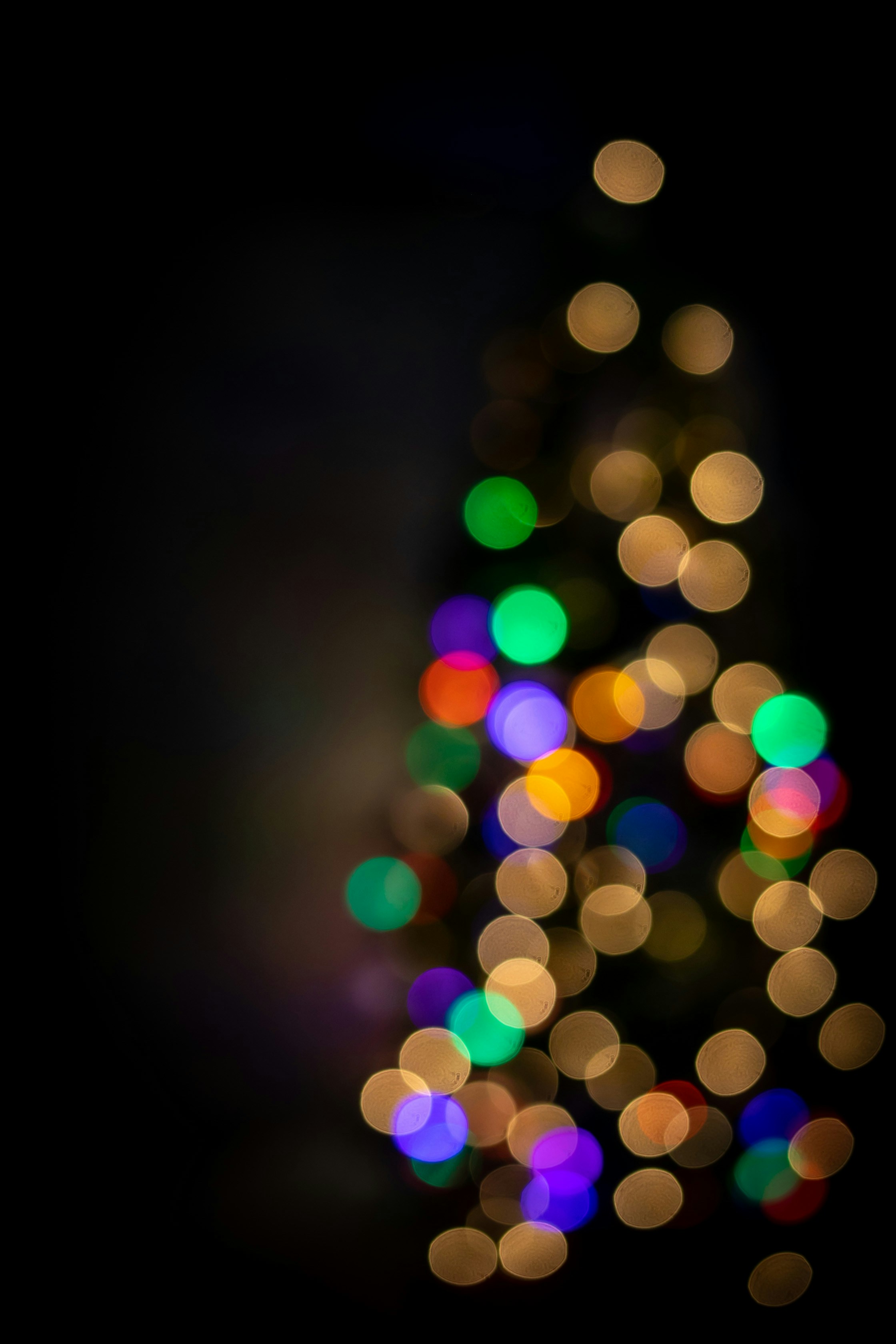 Photo by native7photo