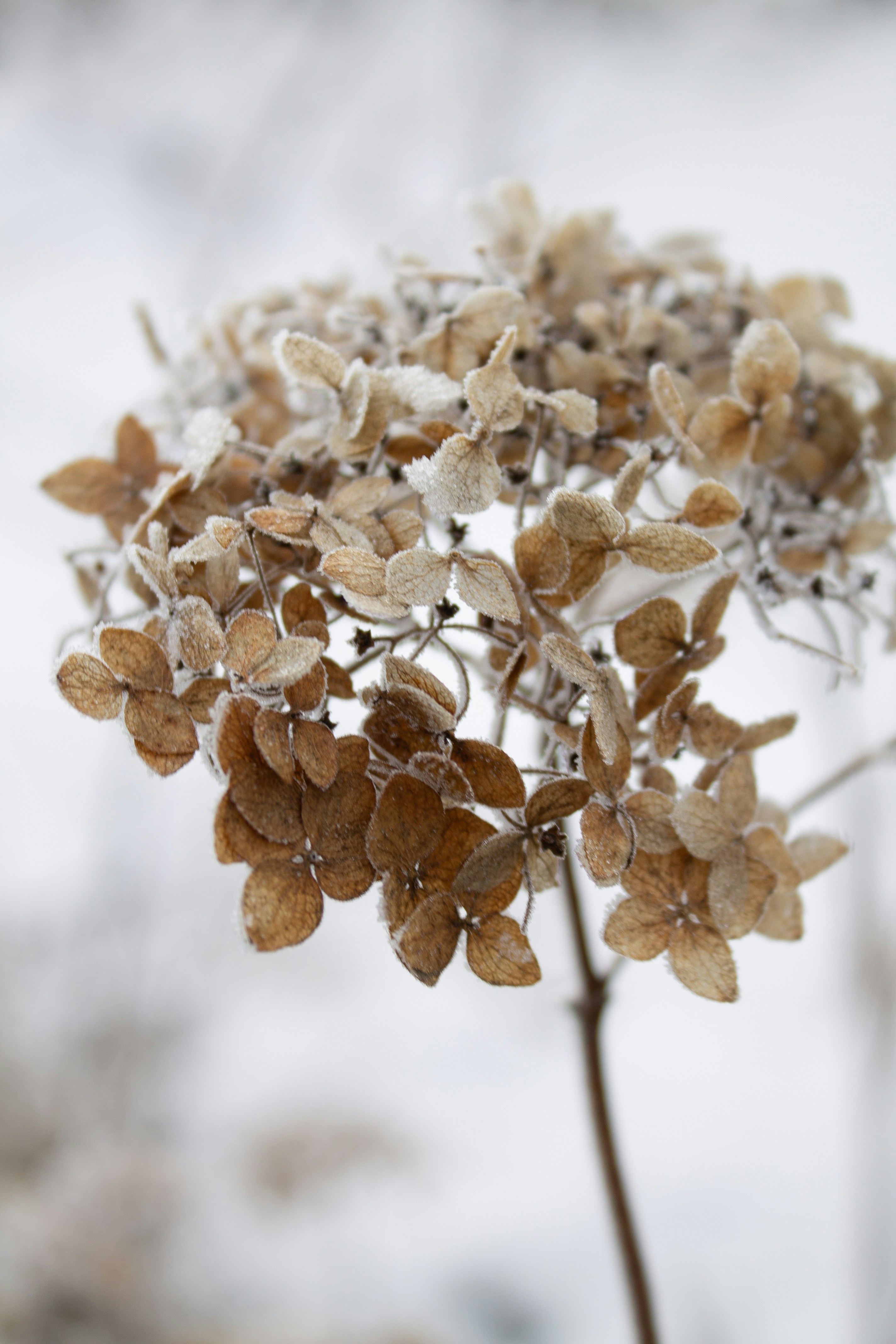 Photo by albina___white