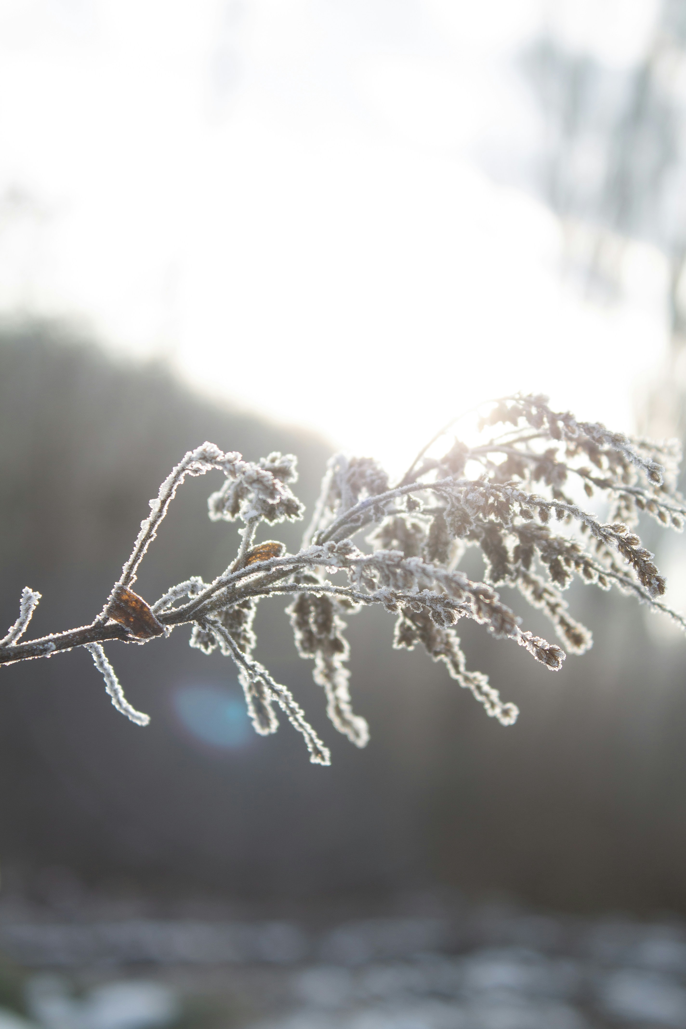 Photo by albina___white