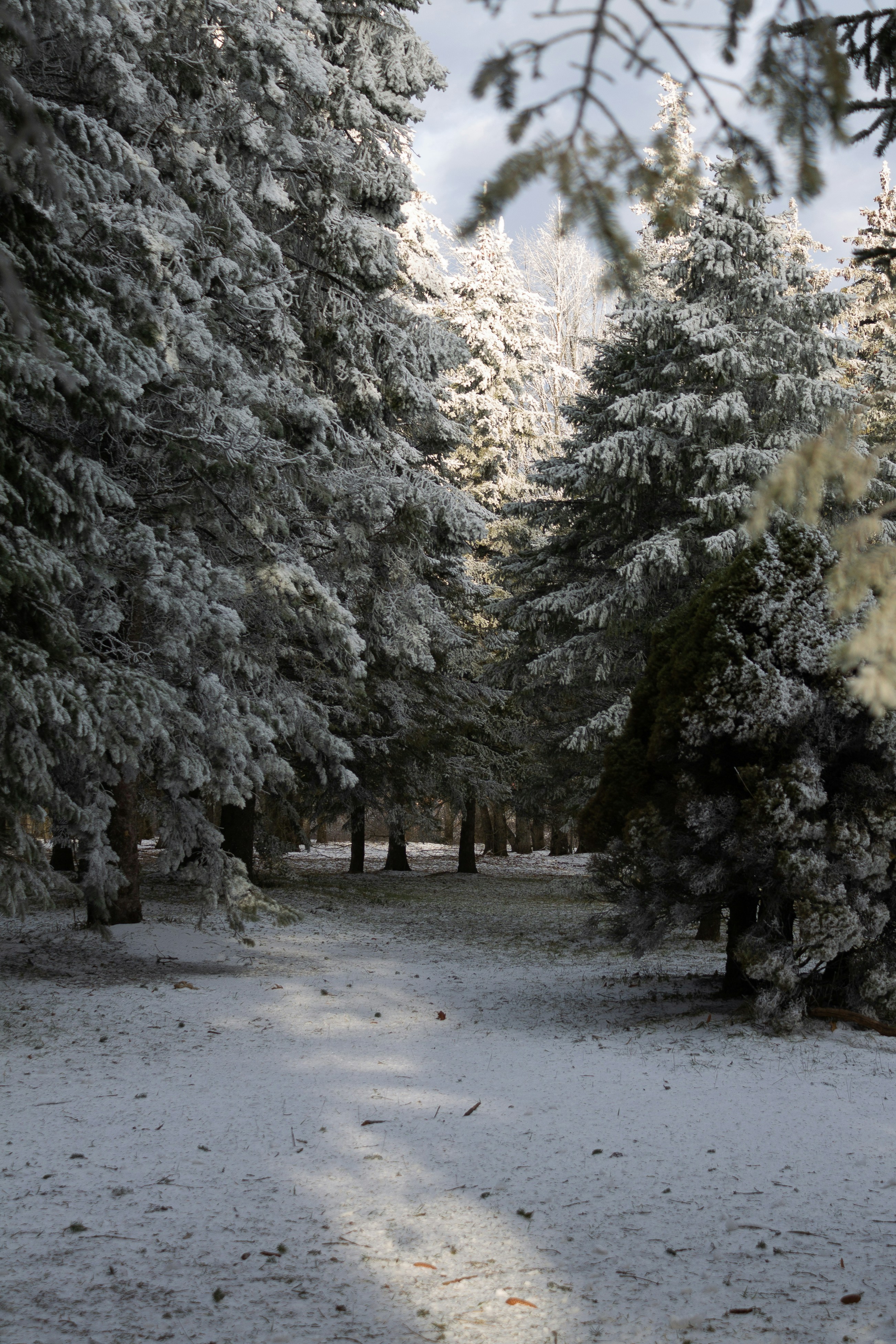 Photo by albina___white