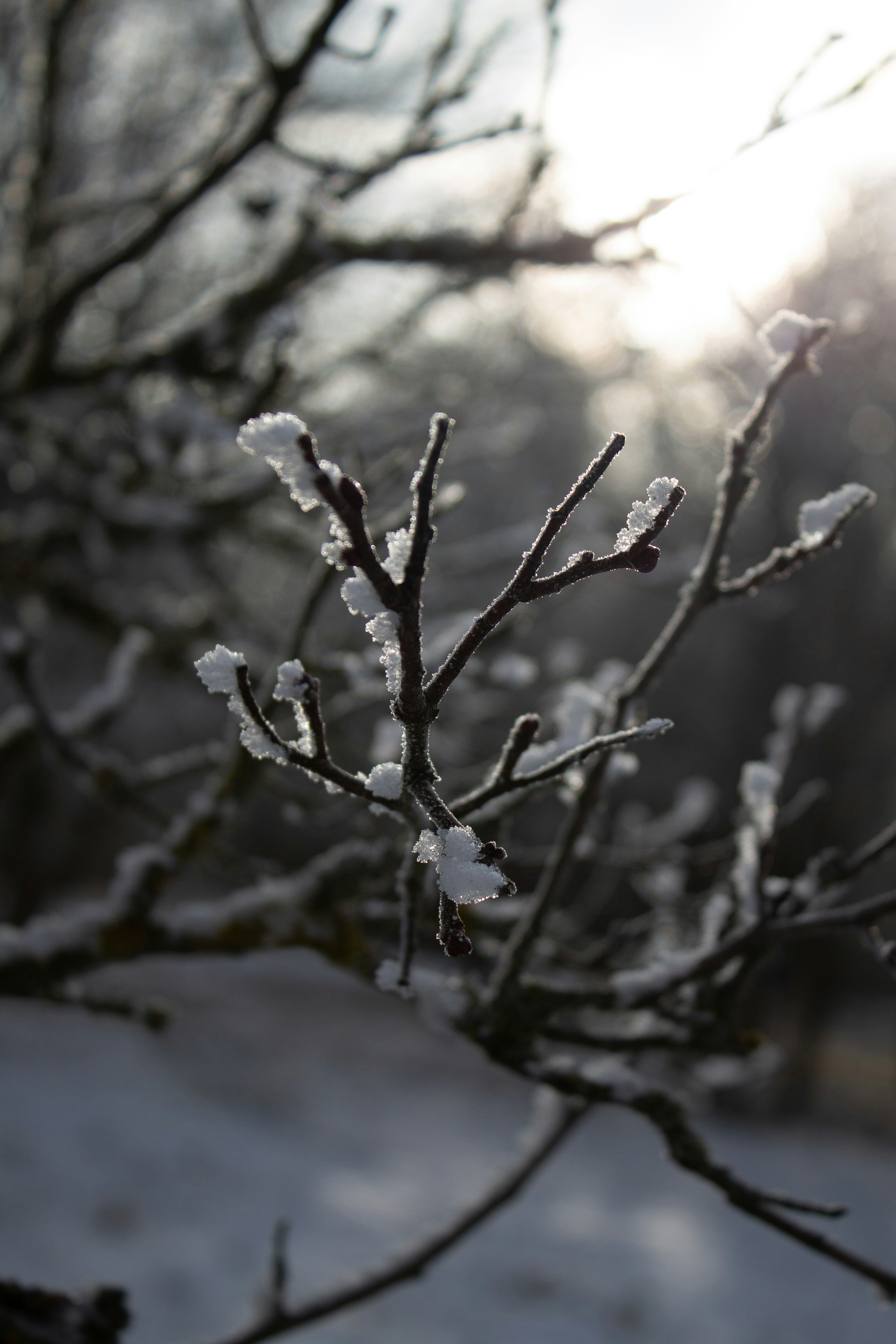 Photo by albina___white