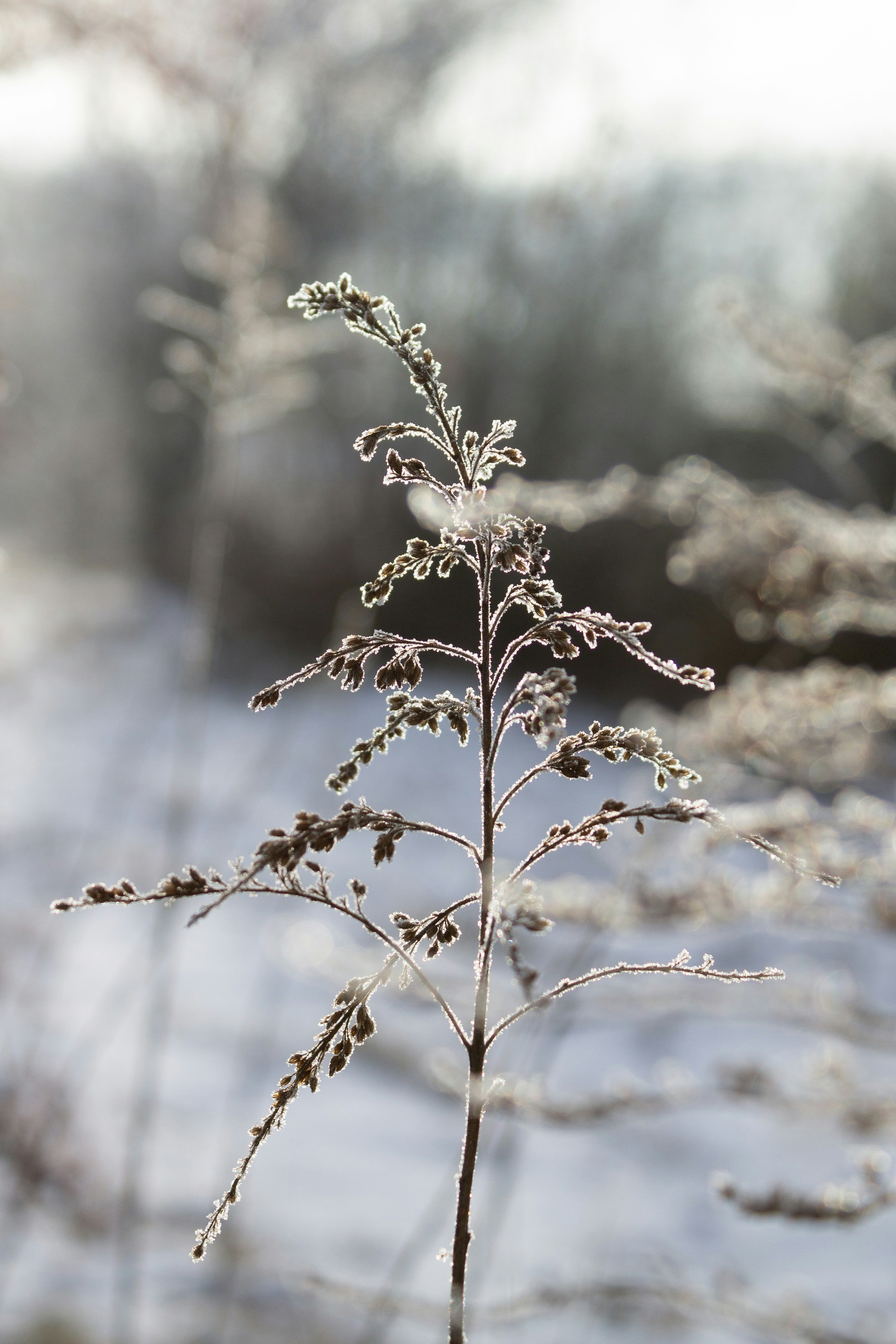 Photo by albina___white