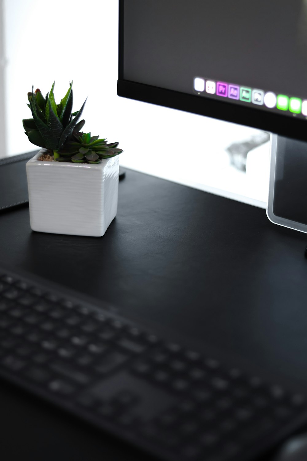 green plant in white pot beside black computer keyboard
