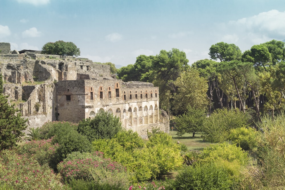 edificio in cemento marrone vicino agli alberi verdi durante il giorno