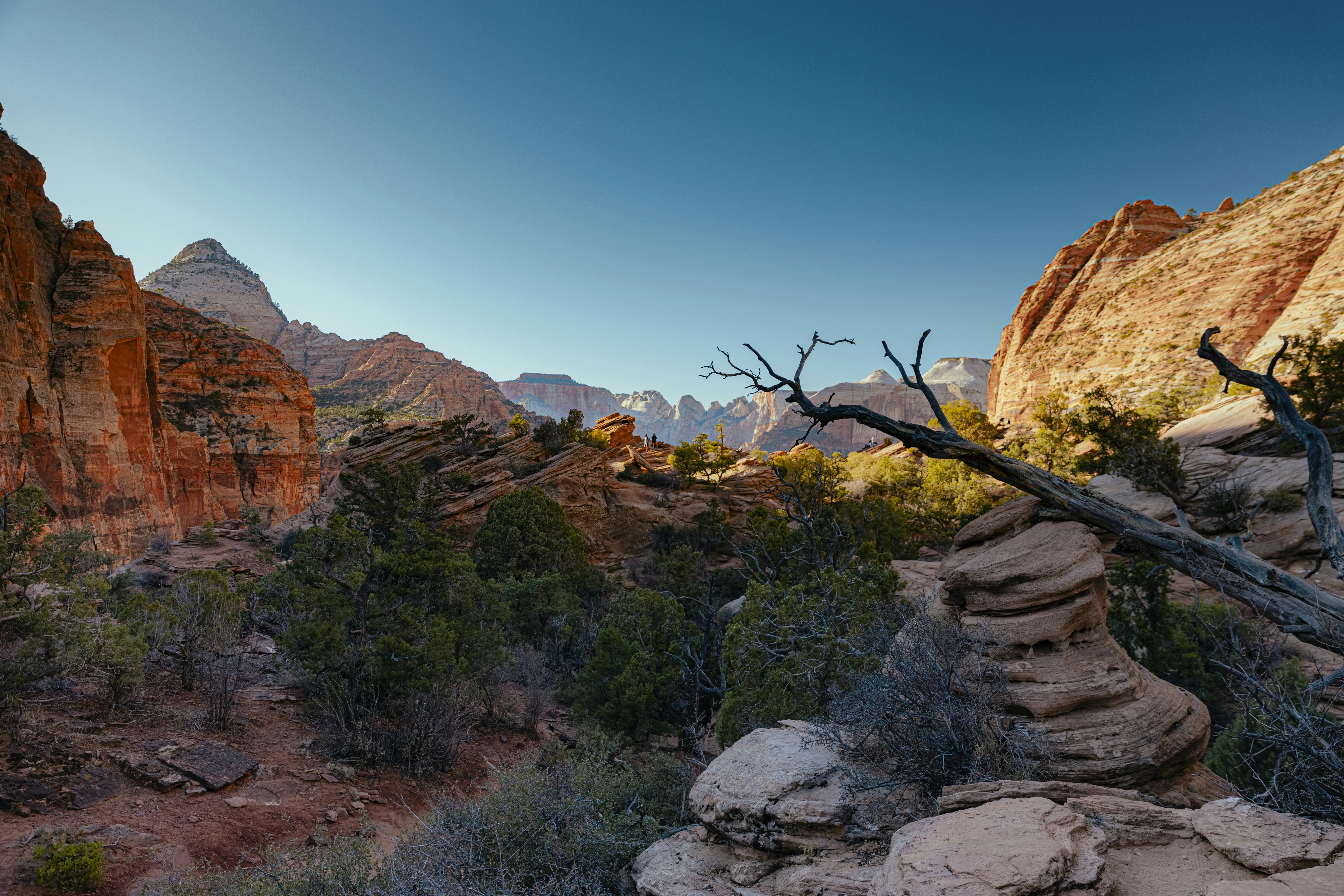 brown rocky mountain under blue sky during daytime