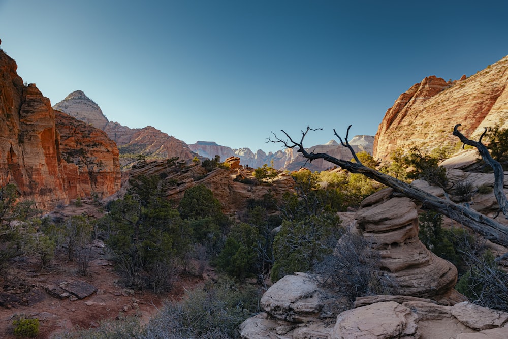 brown rocky mountain under blue sky during daytime