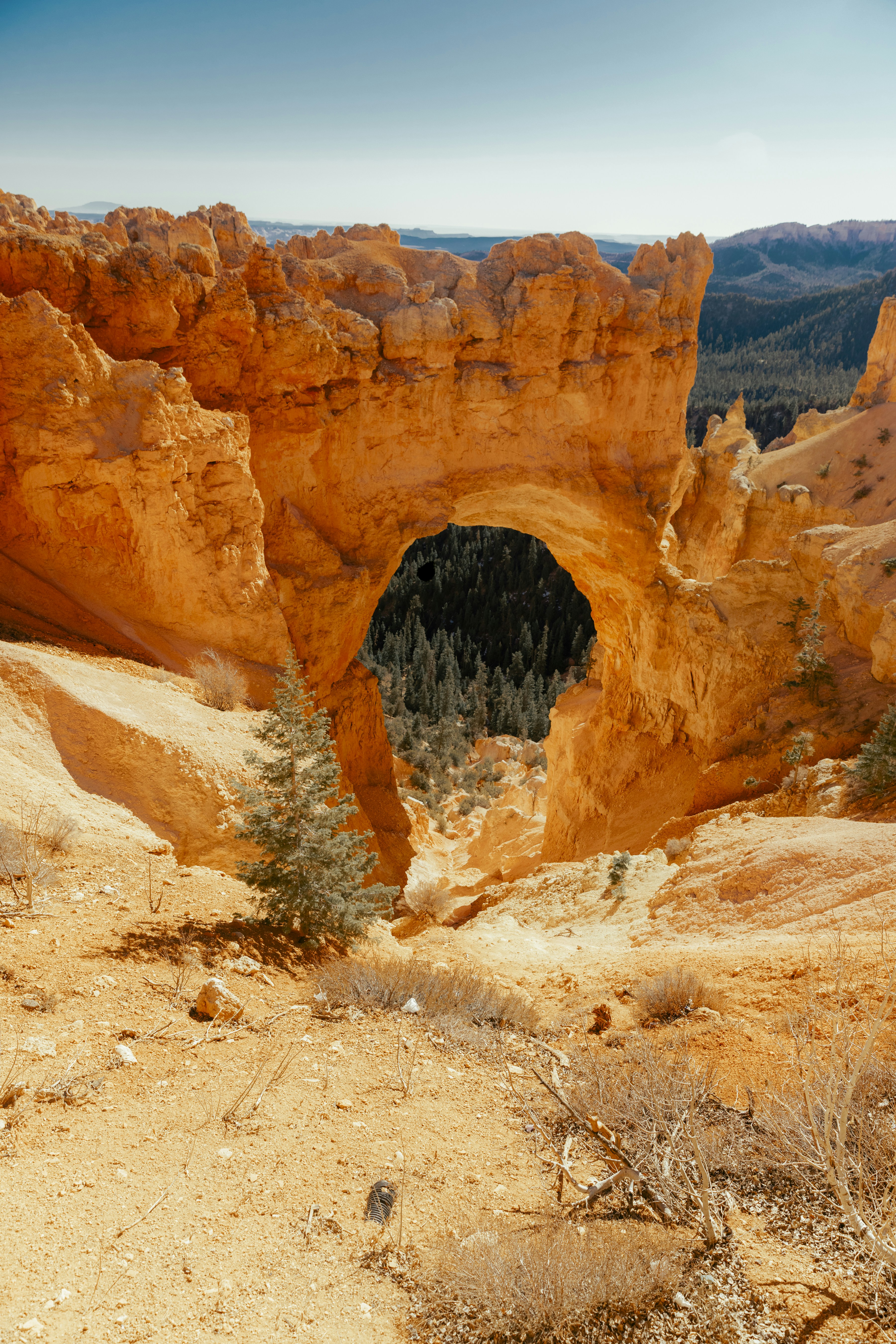 brown rock formation during daytime