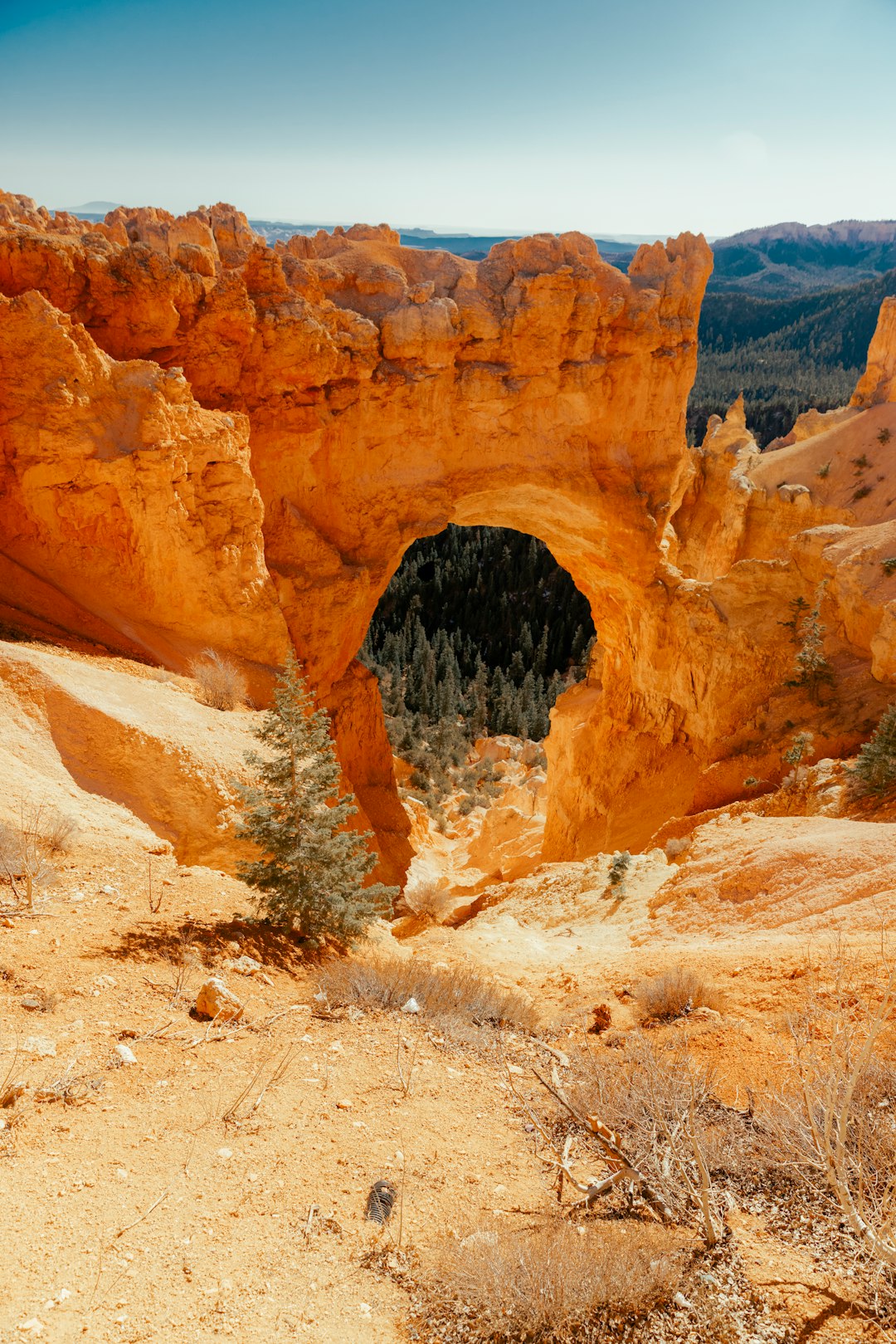 brown rock formation during daytime