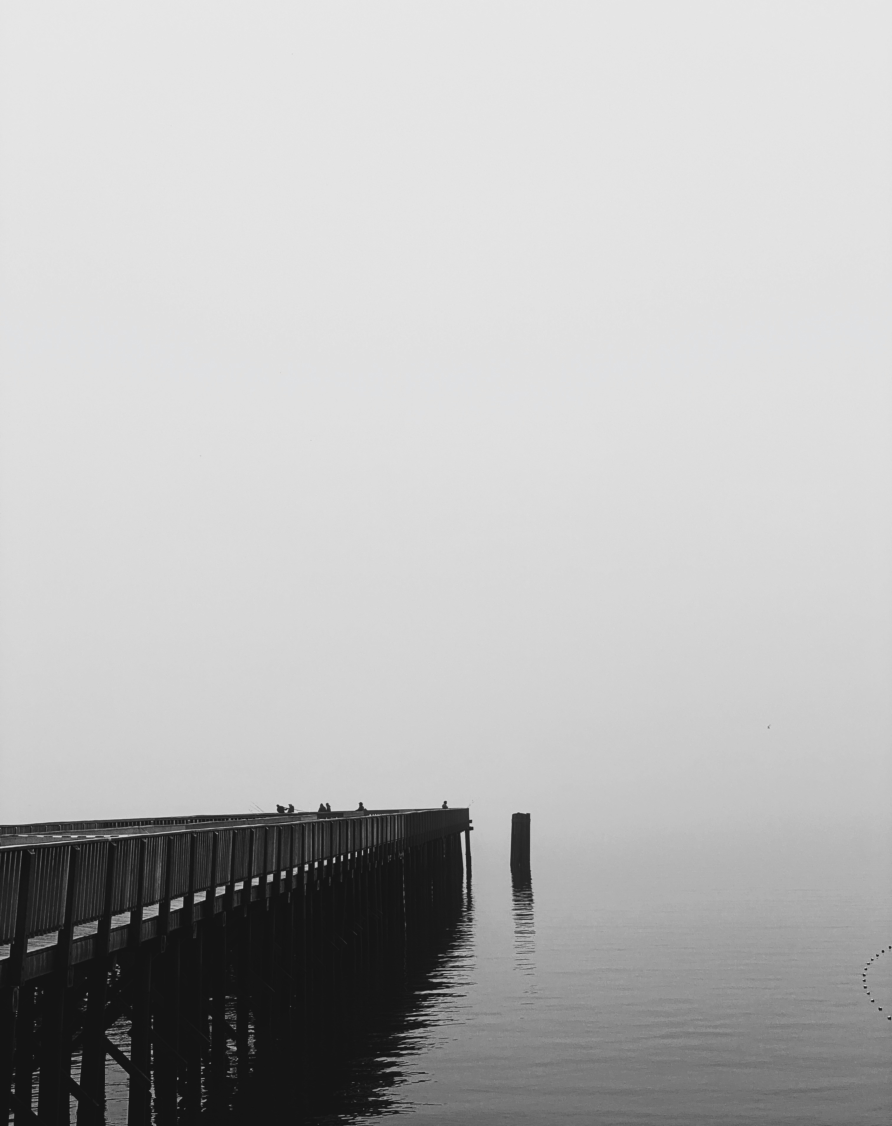 Photo by brianasarejr