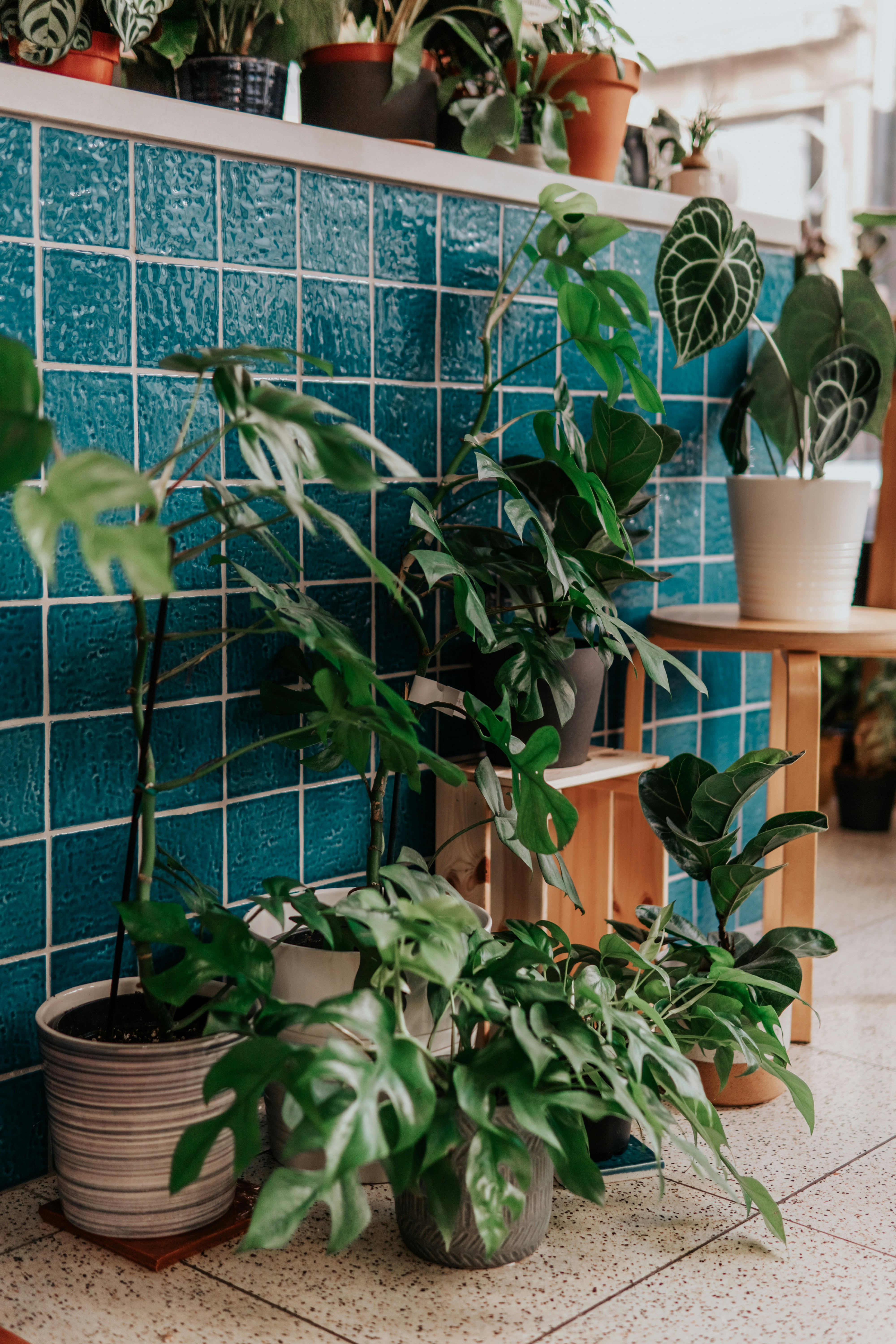 Photo by ceydaciftci