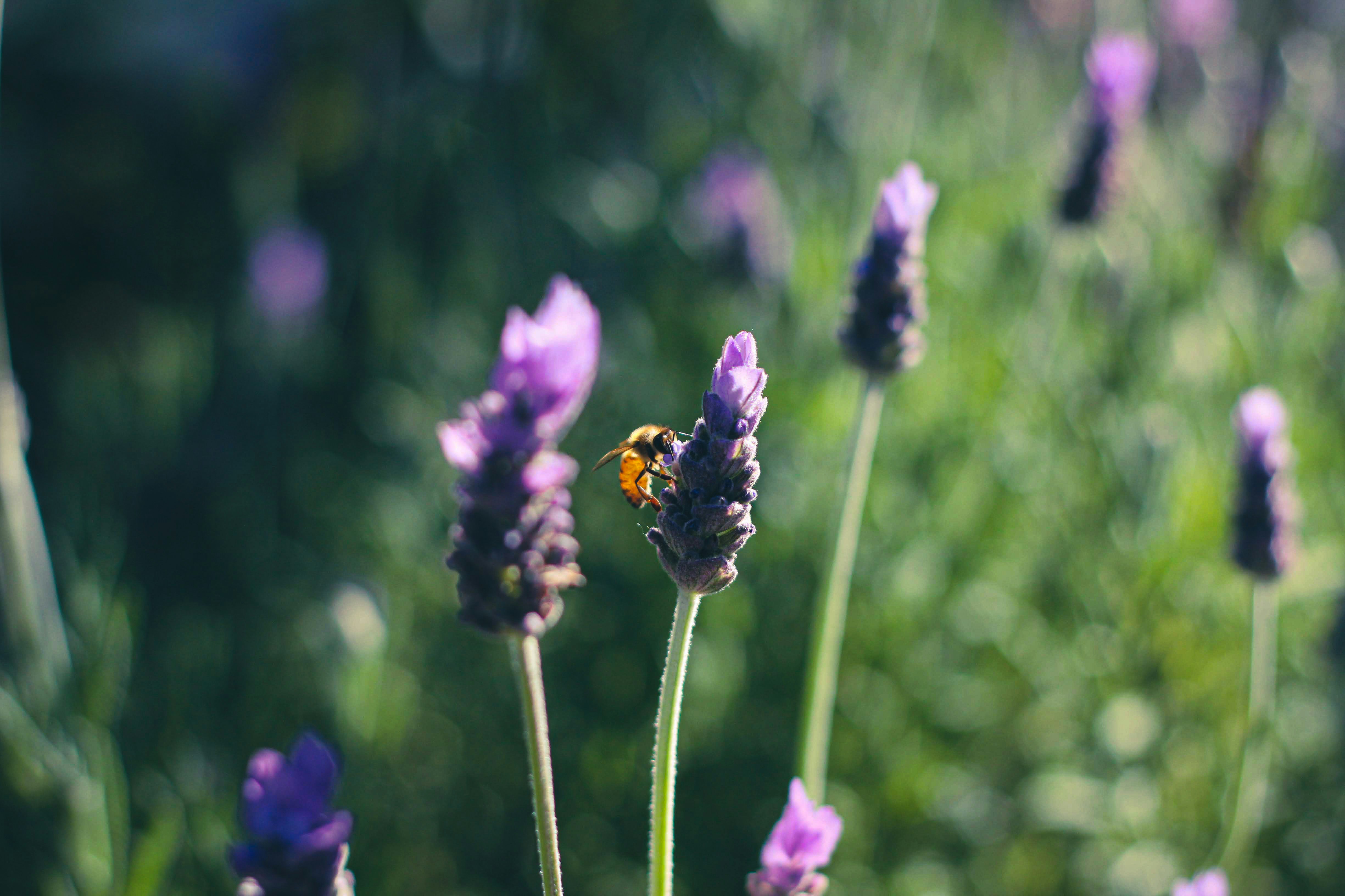 Photo by kindandcurious