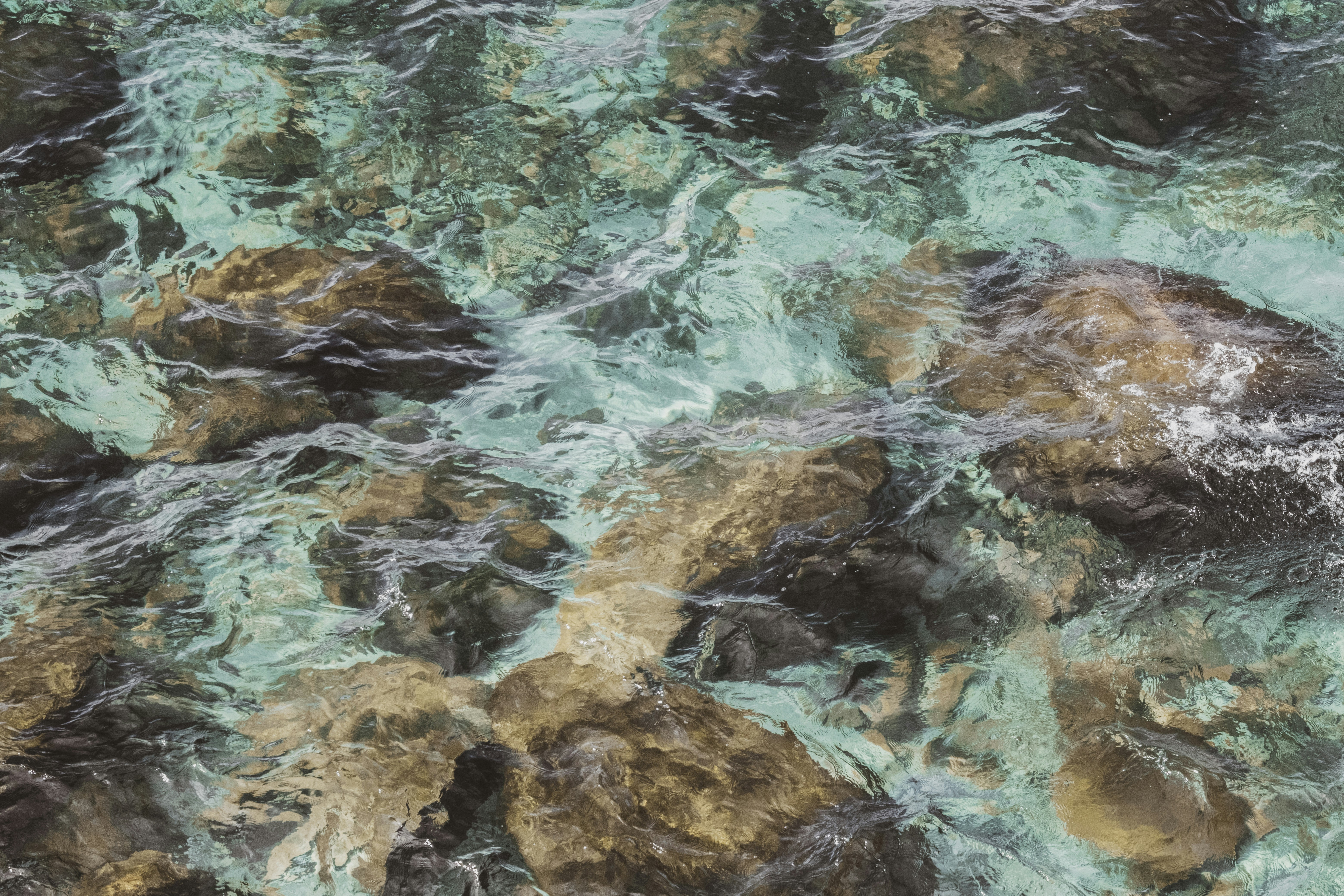 Photo by parsoakhorsand