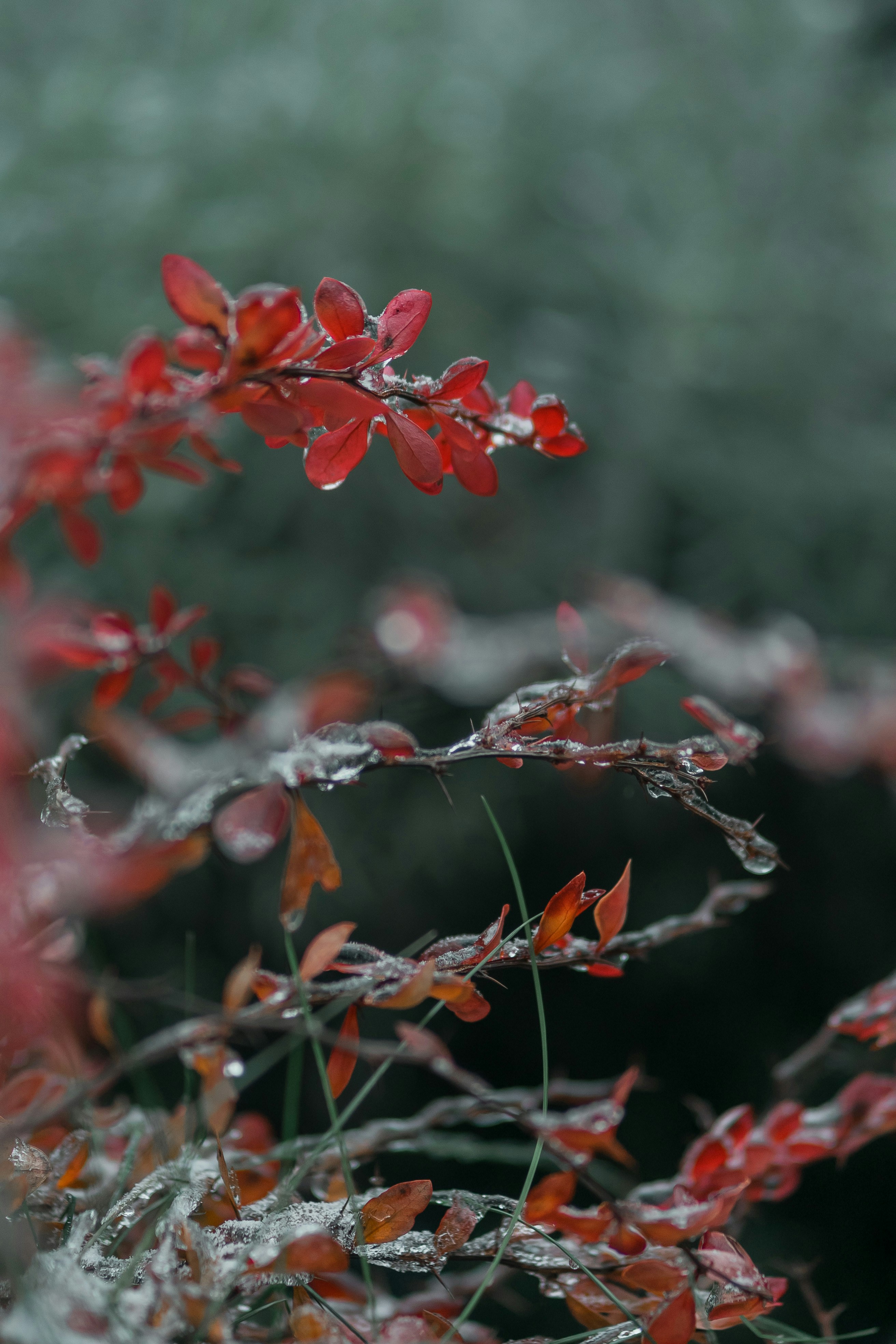 Photo by eugenechystiakov