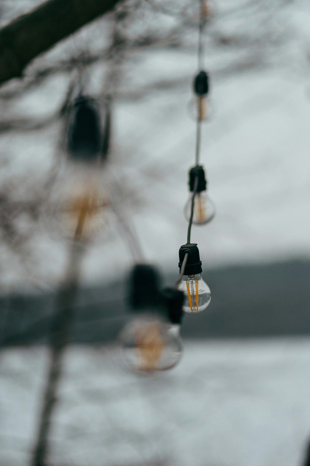 black and white hanging light bulb