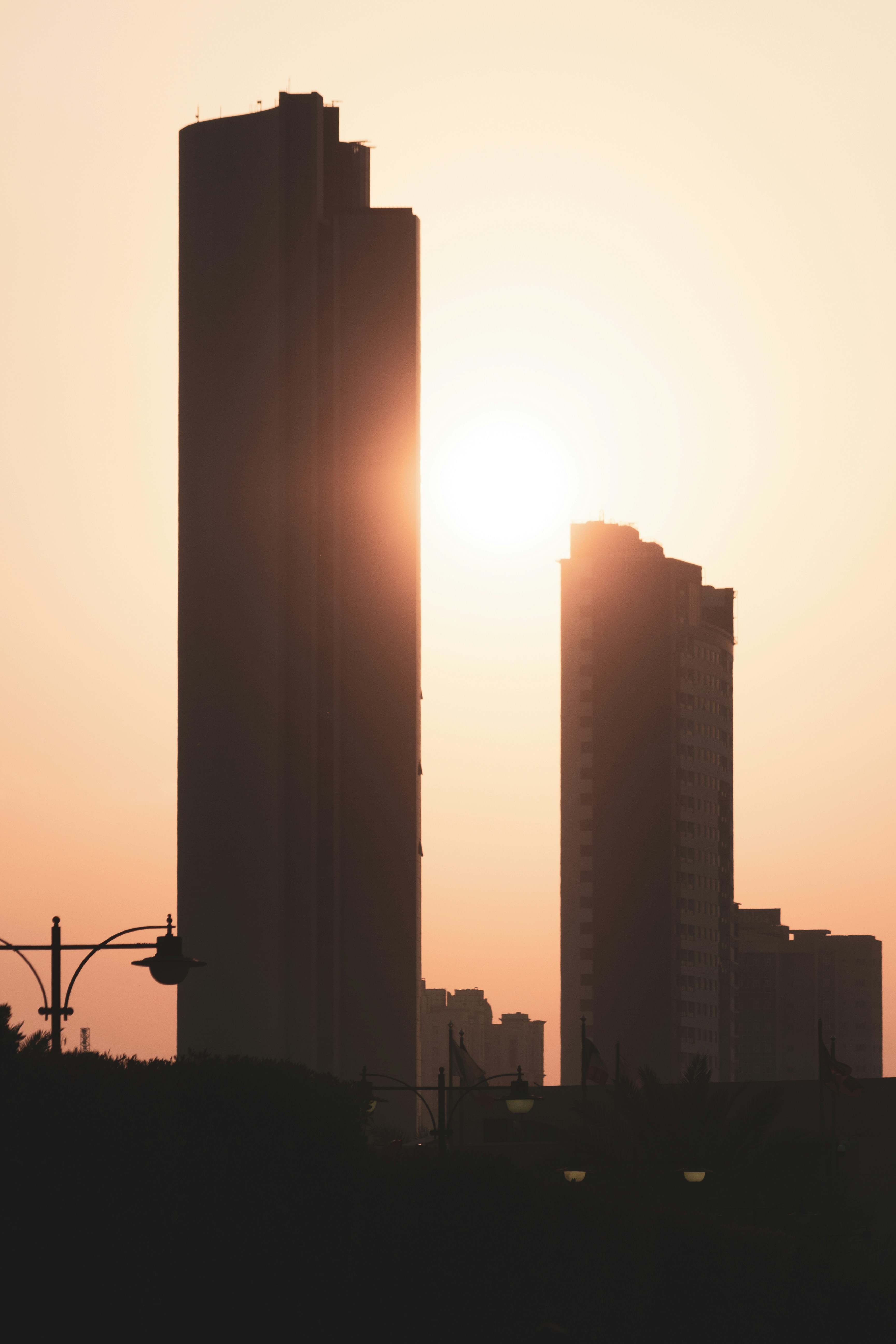 Photo by mayertawfik