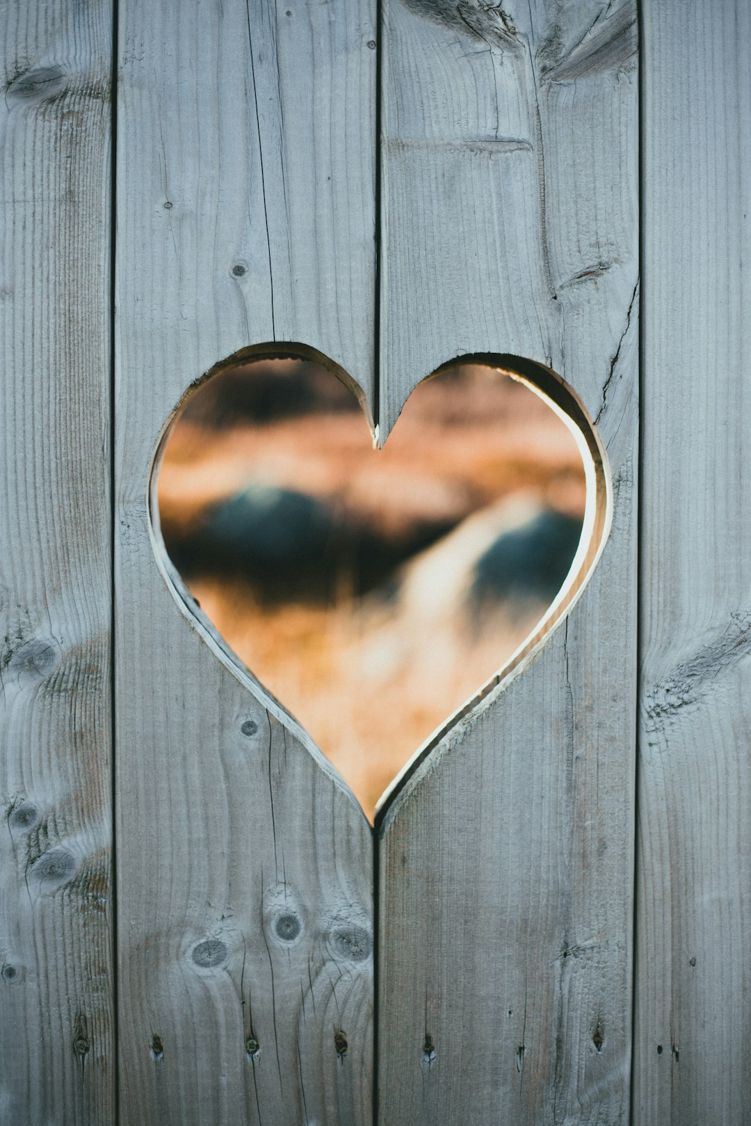 heart shaped brown wooden frame
