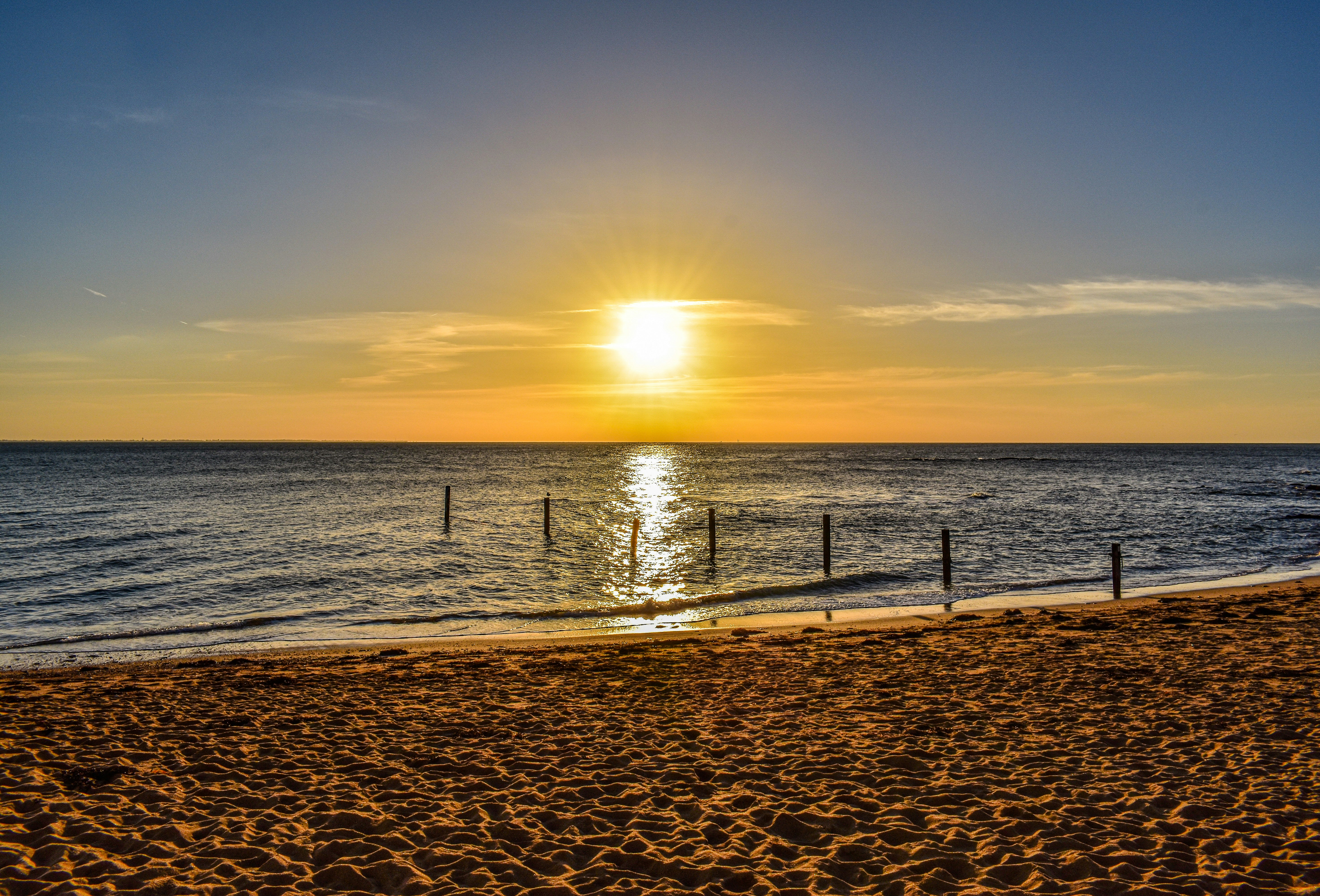 Photo by violettegenot