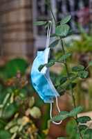A blue surgical mask is hanging on the stem of a green plant with leaves. The background includes a brick wall and blurry greenery.