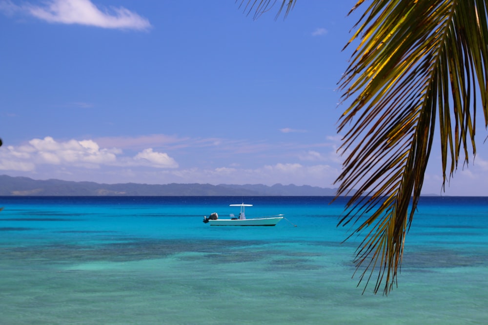 white boat on sea during daytime