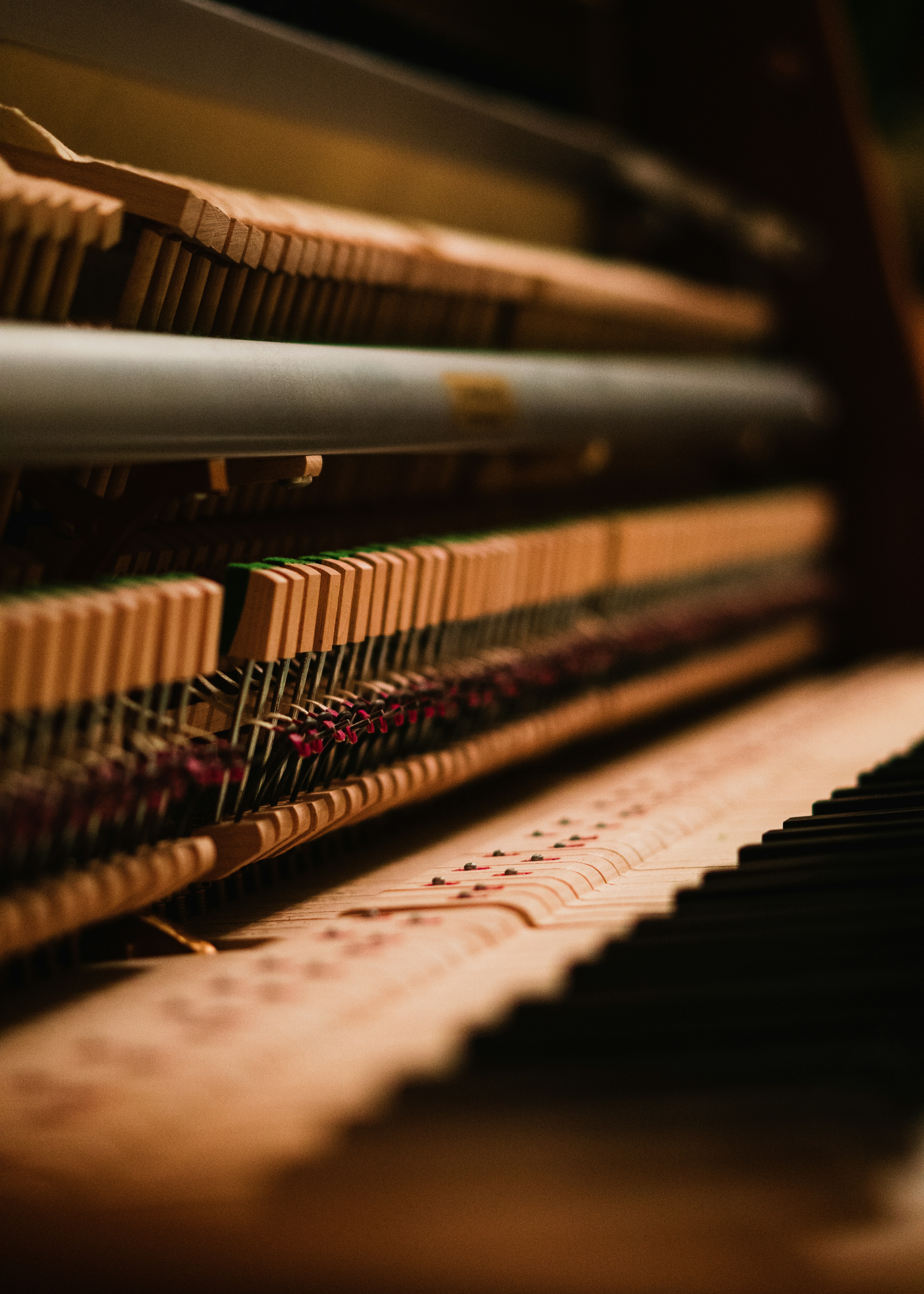 Photo by lopresti_enzo