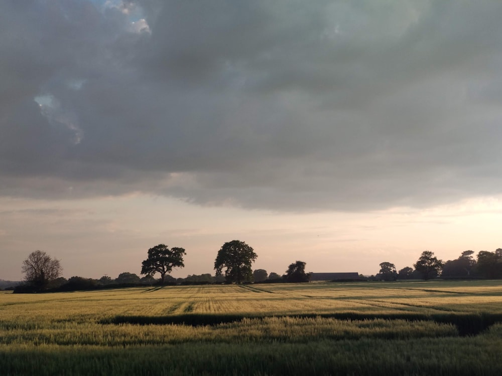 green grass field under cloudy sky during daytime