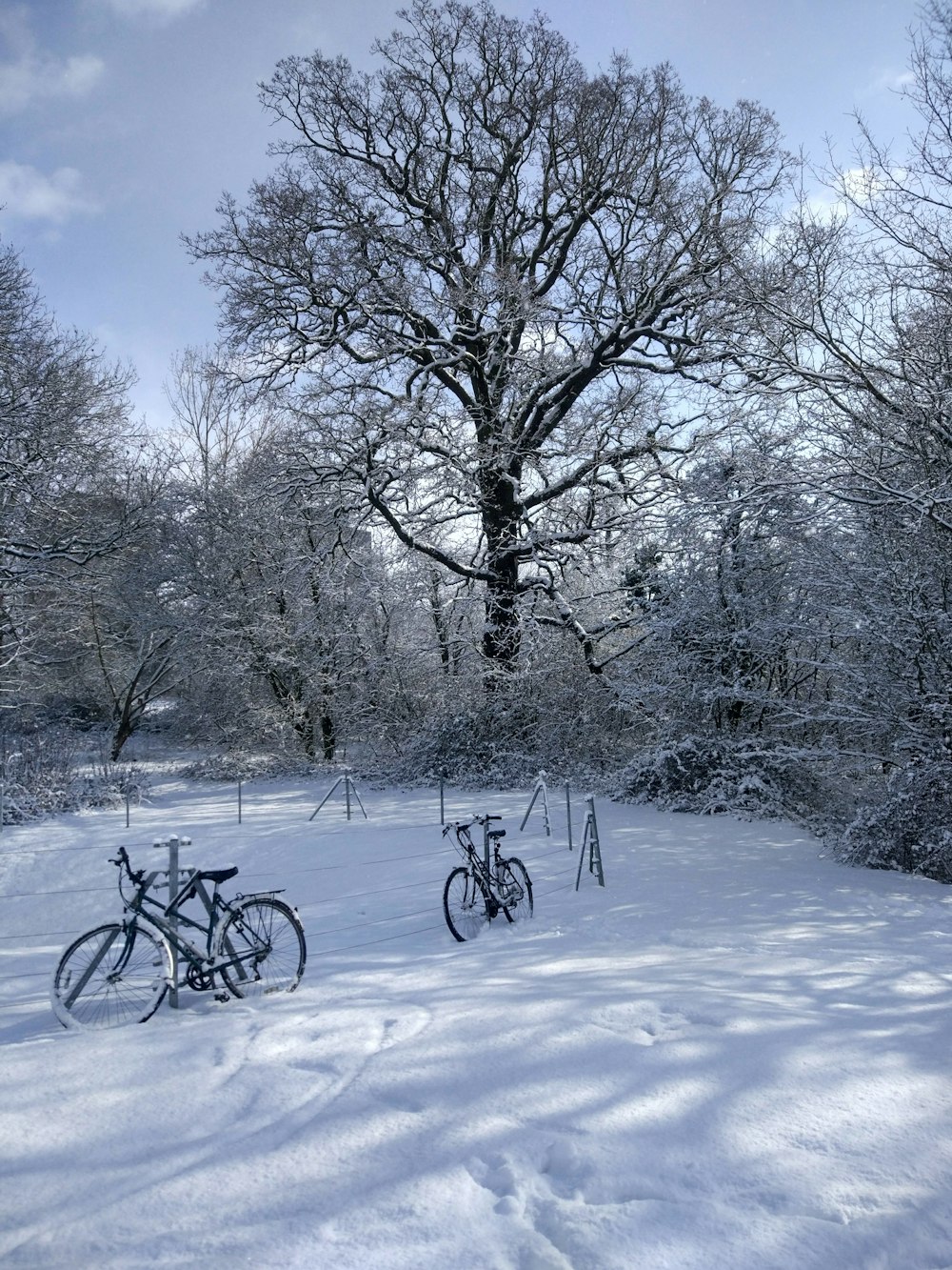 black bicycle on snow covered ground