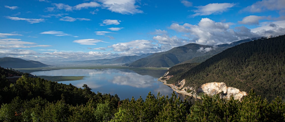 green trees near lake under blue sky during daytime