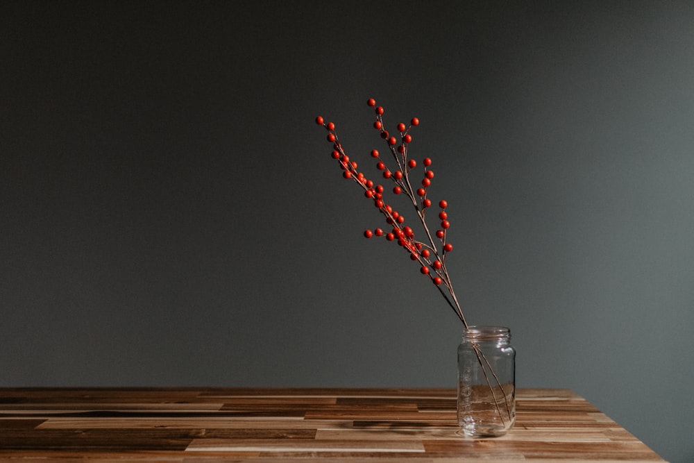 red and white flower in clear glass vase