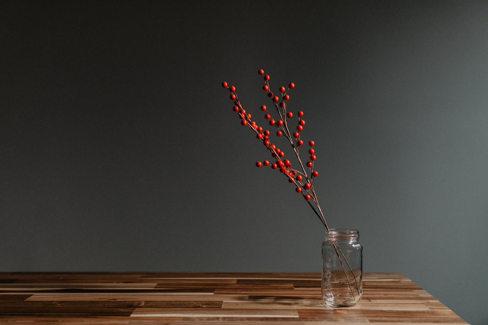 flor vermelha e branca no vaso de vidro transparente
