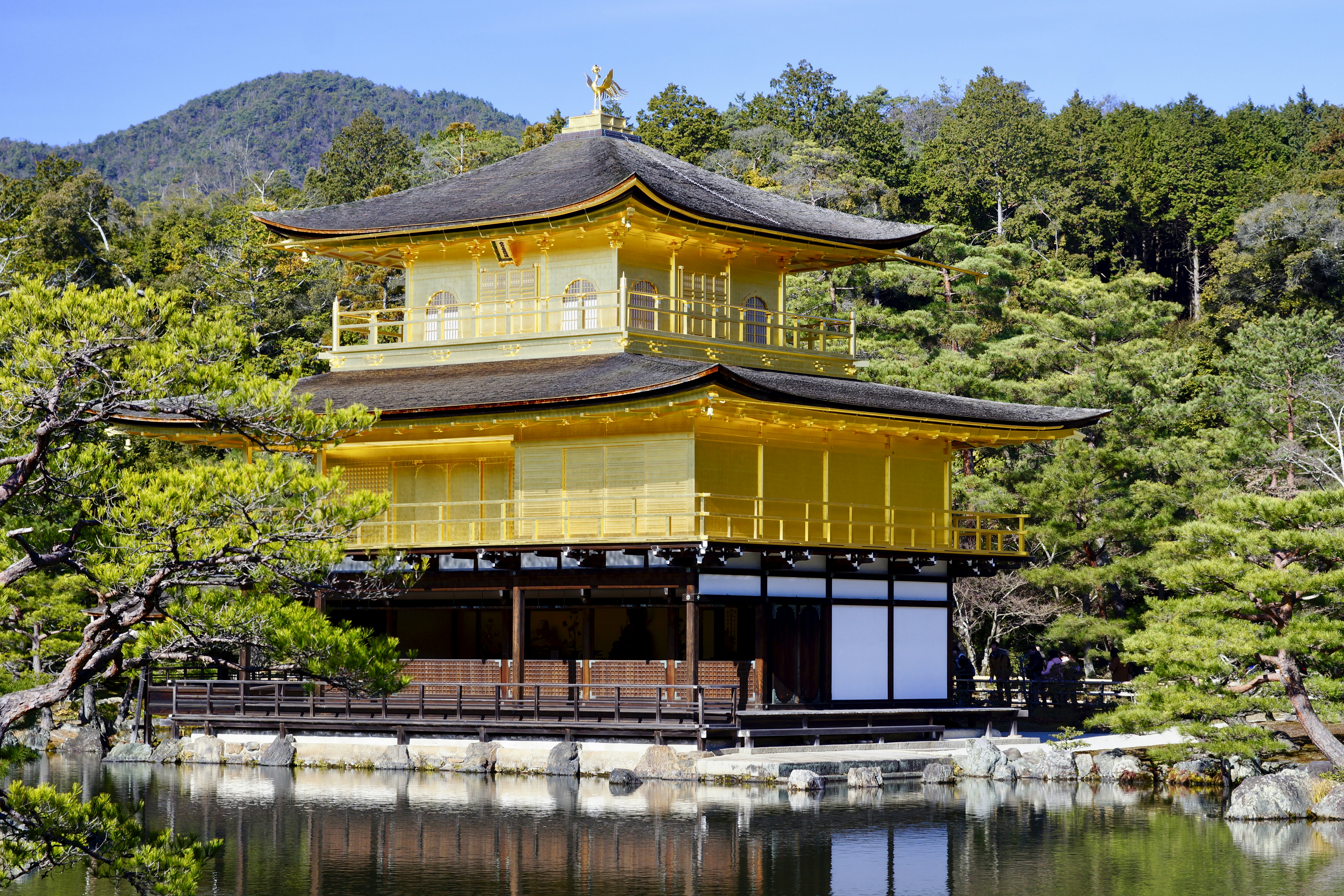 Photo by douglasgreenberg