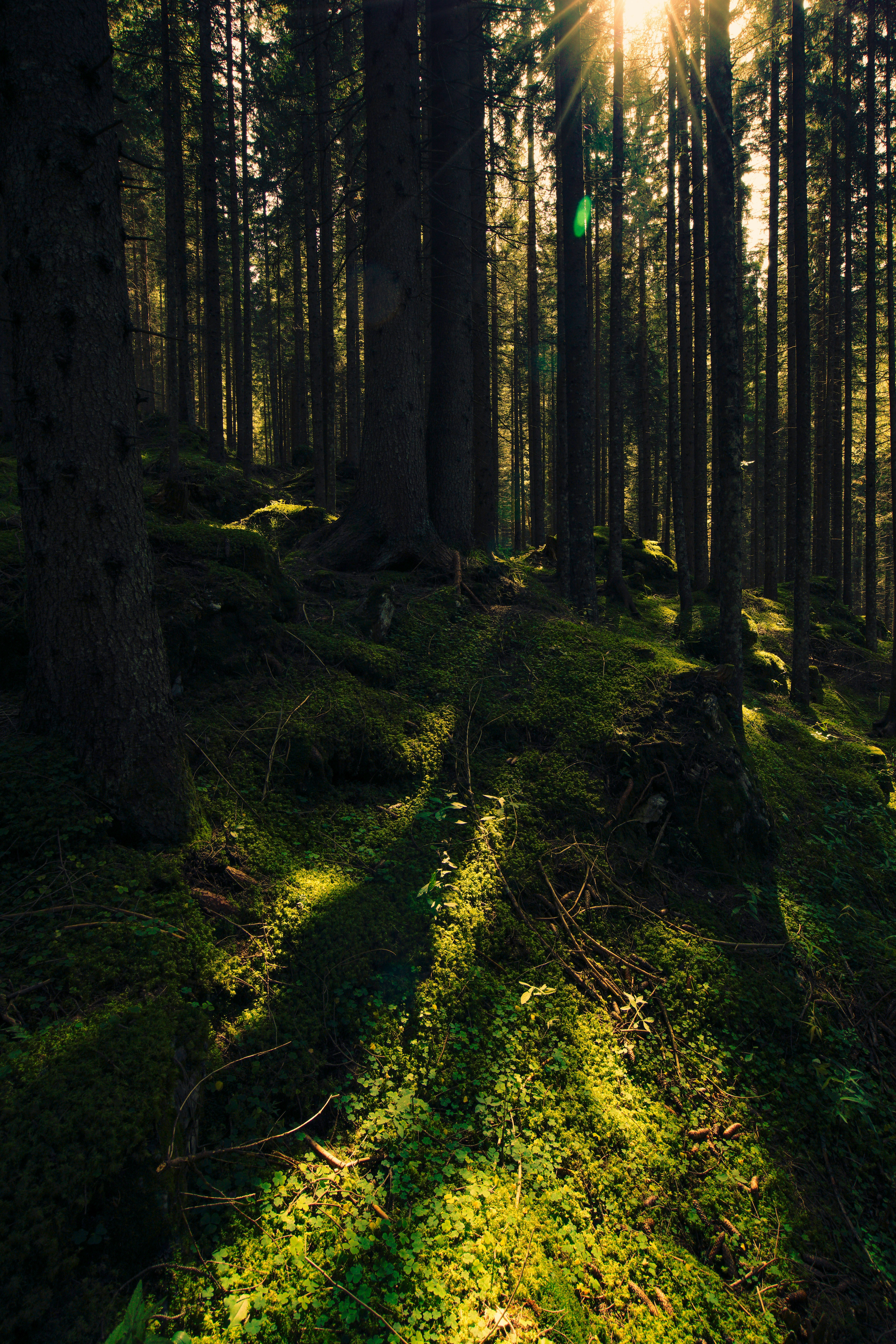 Photo by bresson1984