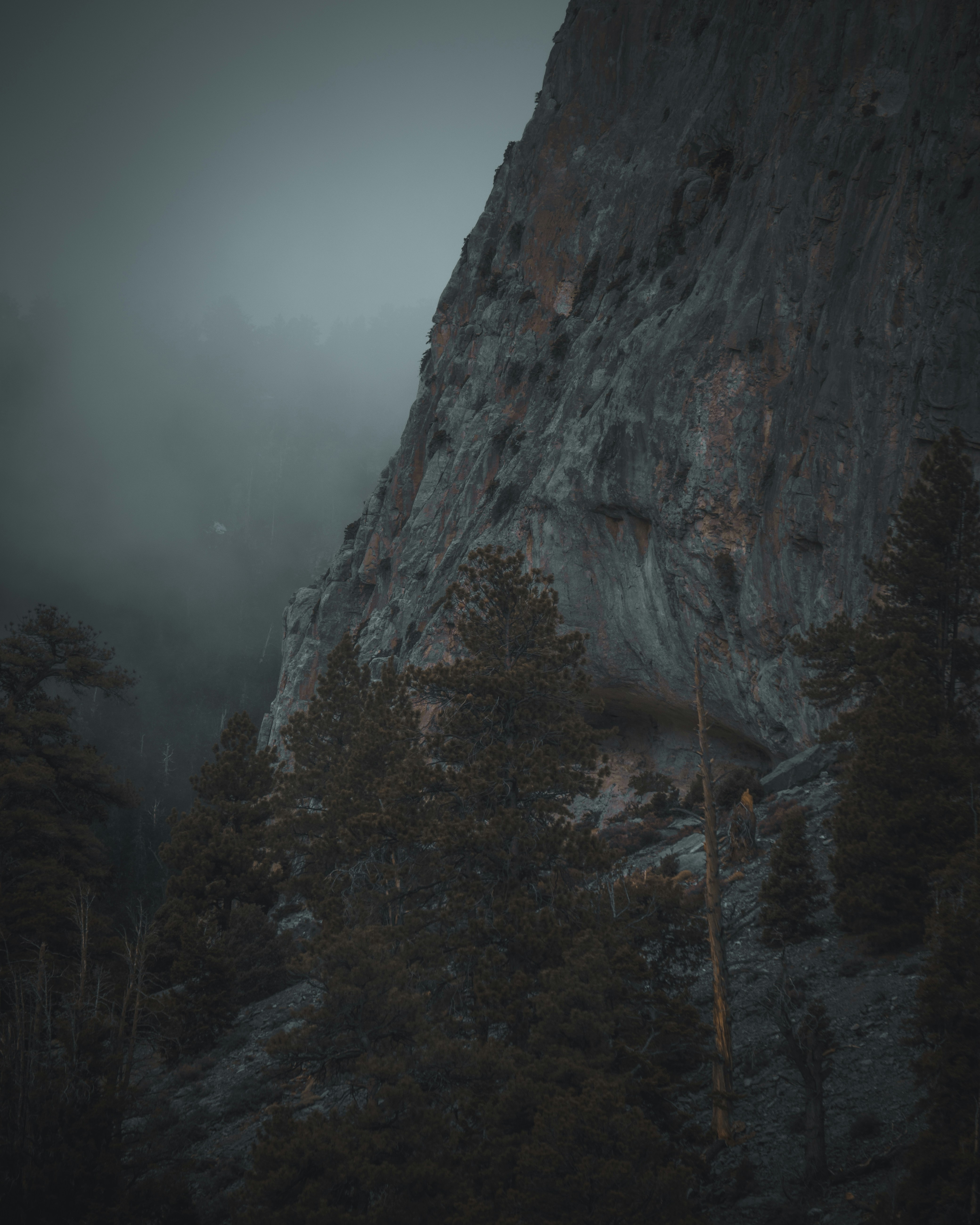 The tweet that got a bunch of unexpected responses 