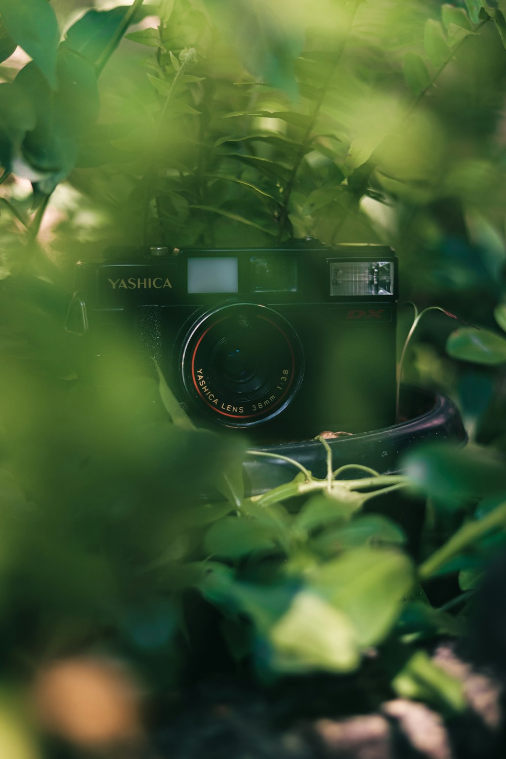 black and silver camera on green leaves